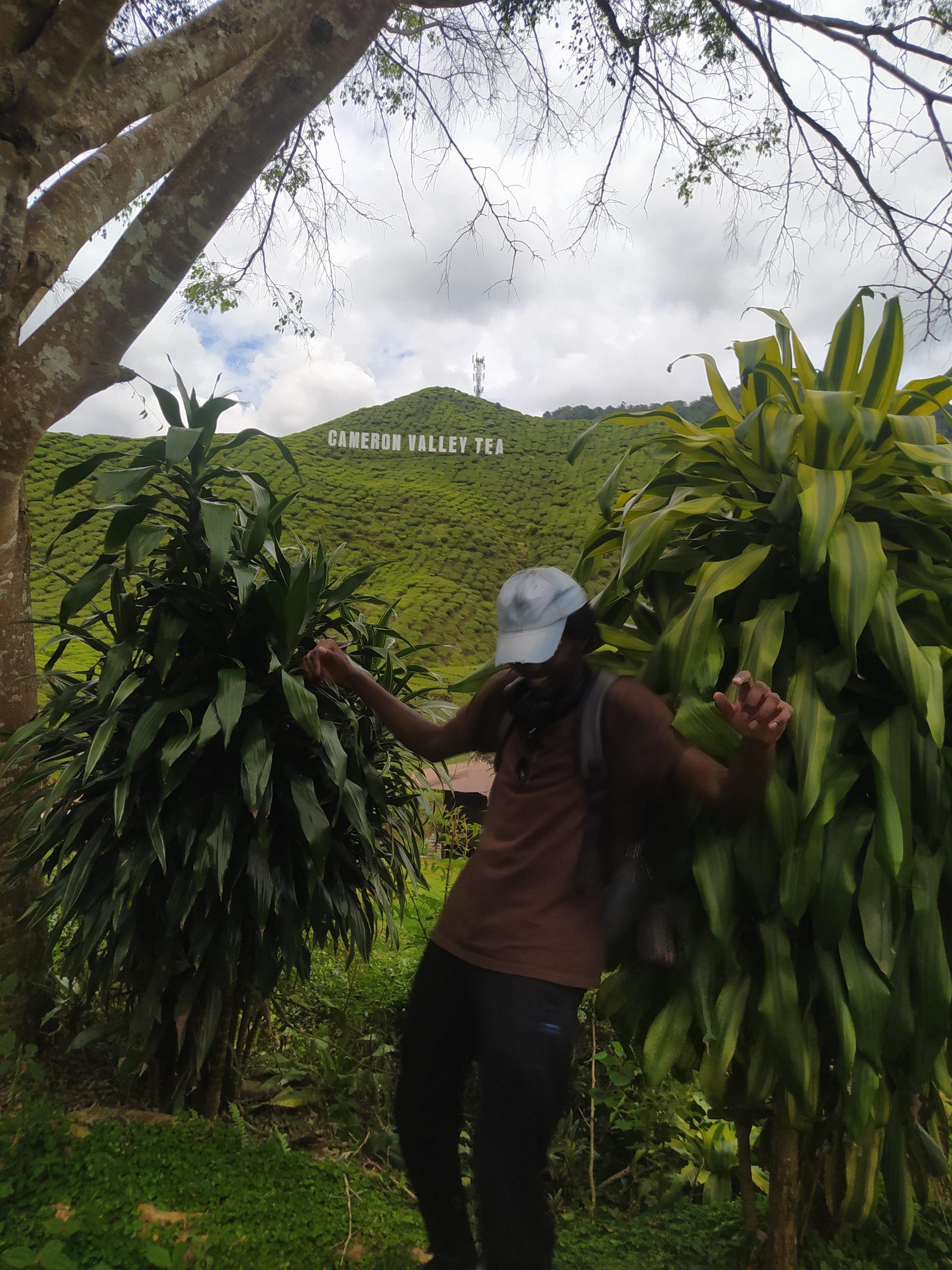 Kericho in a Rich Man’s World